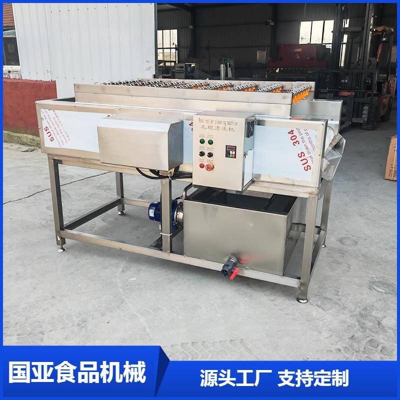 螺旋式毛滚清洗去皮机辣根毛辊清洗机木瓜毛辊清洗设备