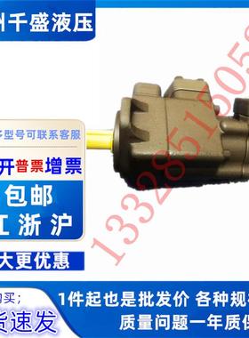 KCL凯嘉VQ215-43-6/8/11/14/17/19/23/26/31-F-RAA-01 叶片泵