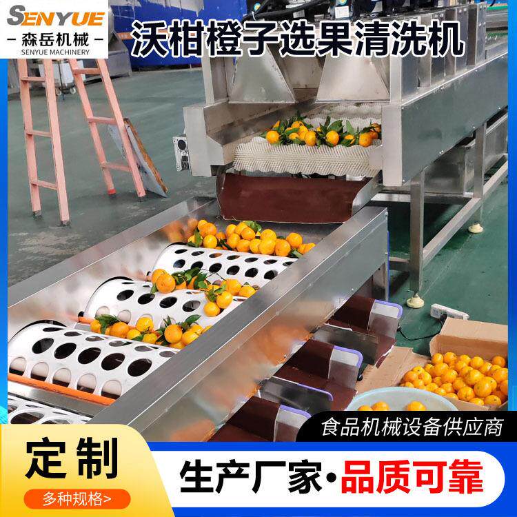 小青柑清洗选果机全自动橙子洗果机水果清洗风干一体机沃柑打蜡机