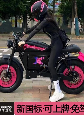 Himoto新国标复古款助力防滑越野电动自行车成人青年代步车可上牌