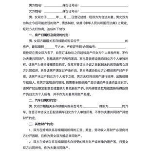 婚内财产协议书婚前协议婚姻房产约定合同债权债务夫妻婚后协议书