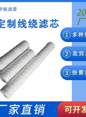 电厂定冷水滤芯WFF-125-1pp线绕滤芯发电机内定冷水滤芯