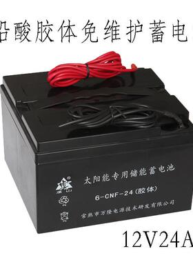 铅酸胶体电池12V24AH铅酸蓄电池胶体免维护太阳能胶体储能电池