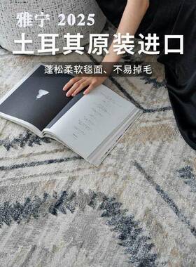奶油风防水抗污客厅地毯沙发茶几毯轻奢免洗纯色高级家用卧室加厚