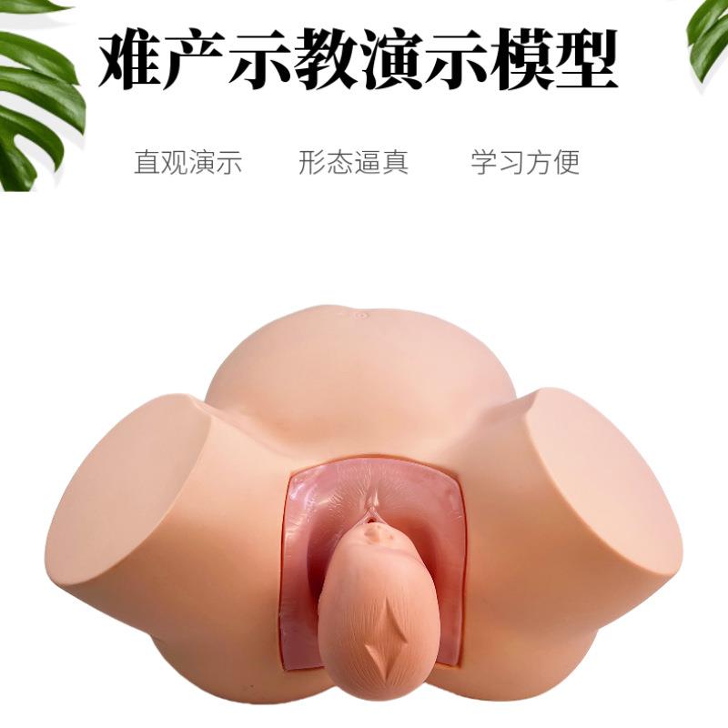 分娩示教模型高级难产示教训练模型妇产科难产助产分娩教学模型