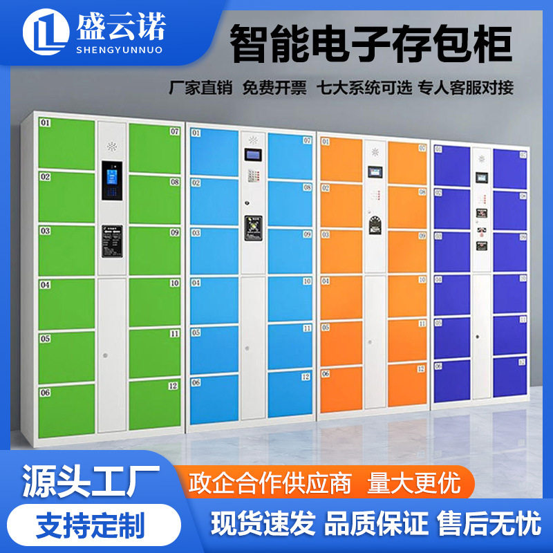 智能储物柜超市电子存包柜商场刷卡自编码扫码人脸识别文件柜