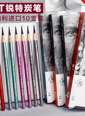 锐特炭笔MIJNO炭笔素描美术生专用初学者速写软中硬手绘画笔专业速写炭化铅笔rt软绘画全碳黑画笔瑞特软炭笔