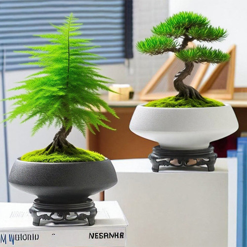 佛手柑苔藓球花盆陶瓷托盘亚光桌面摆件水培米竹菖蒲水培特价清仓