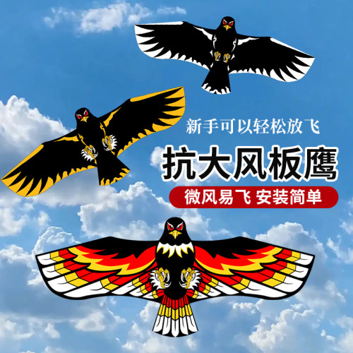 老鹰板鹰风筝4提线微风易飞