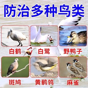 极速驱鸟神器果i园专用赶鸟防鸟驱鸟剂驱鸟药农田鱼塘户外惊鸟麻