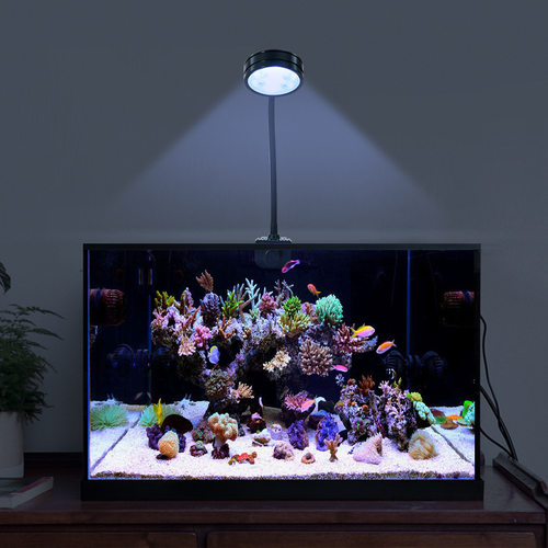 极速直供可调亮度海缸灯微t缸珊瑚灯海水藻缸灯白光蓝光切换水草