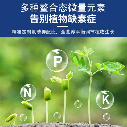 新品高氮高磷高钾平衡型大量元A素水溶肥料冲施肥草莓膨果树西瓜