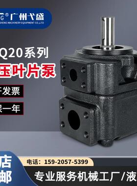 DVQ20-19/23/26/32/34/38-F-RAA-01液压高压叶片泵电动压定量油泵