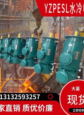 拉矫机专用水冷电机YZPSL/YZPSLE/YZLPWT/YZLPWTE耐高温电机机床