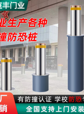 全自动升降柱智能防撞厂家直供