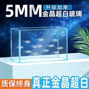 鱼缸金晶超白缸小型客厅生态新款桌面金鱼缸长方形超白玻璃水族箱