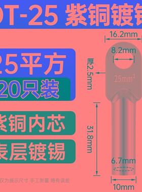 镀锡DT铜鼻子16/25/35/70/95/120/185/240/300平方接线端子铜线耳