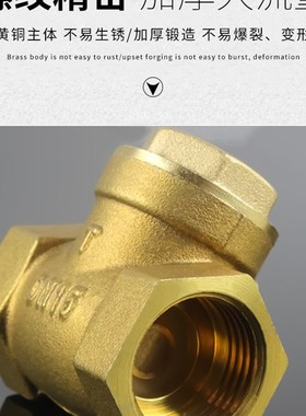 极速全铜立式卧式止回阀PPsR水管止回阀单项逆止阀4分6分1寸DN15/