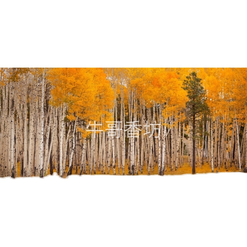 极速新款c画片照片明信片打印各种尺寸全国发货3a383