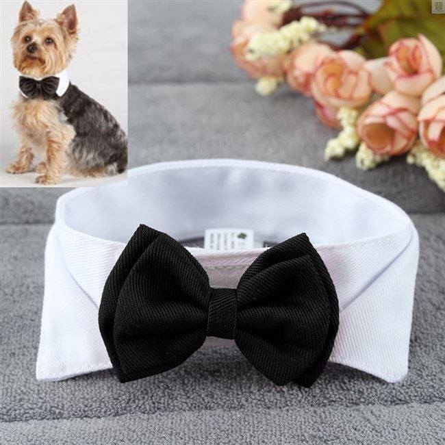 极速1PC Pet Puppy Dogs AdjustableG Bow Tie Collar Necktie,宠物/宠物食品及用品,其它服饰配件,淘宝优惠券,粉丝福利购,淘宝优惠卷