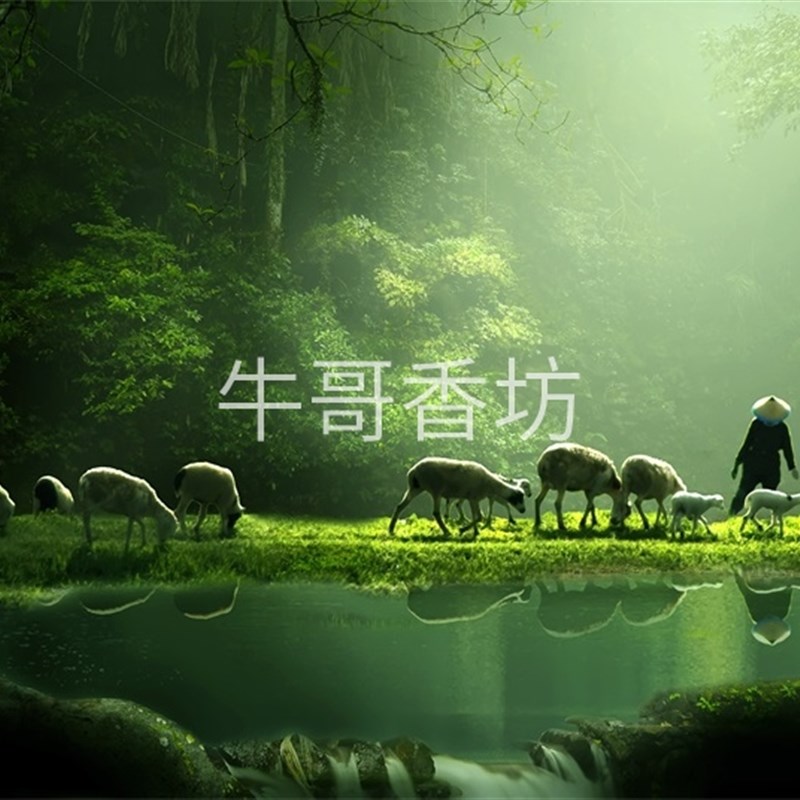 极速新款画片g照片明信片打印各种尺寸全国发货3a382