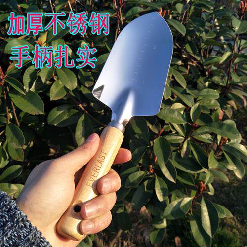 新品园林园艺工具不锈钢小铲子花A铲铁锹铁铲户外赶海家用养花种