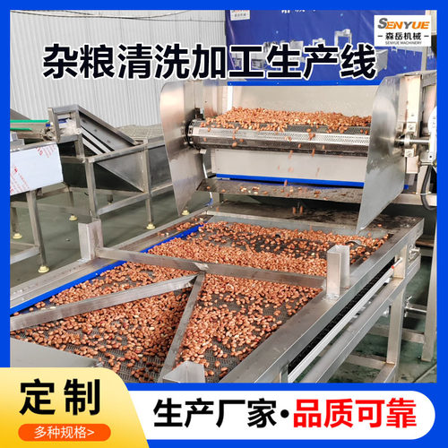 商用全自动花生米清洗机红豆加工清洗流水线玉米气泡清洗机设备