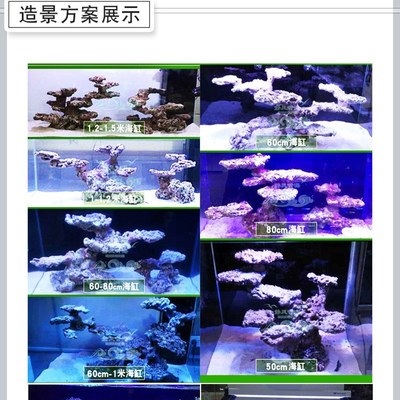 海缸成品造景石 奶嘴窝 葵巢 死石爪哇石造景 图选 可定制