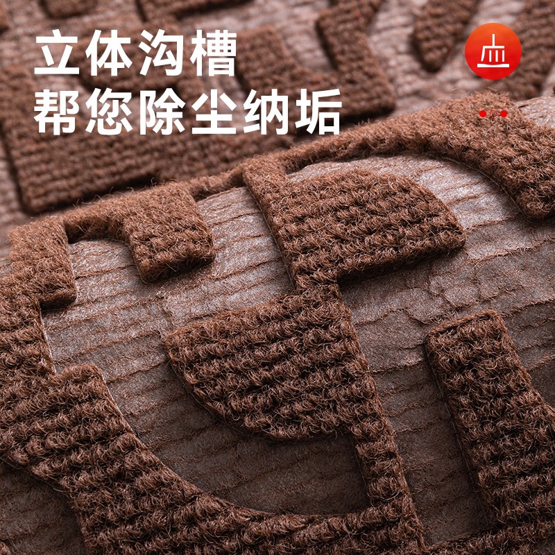 入户门地垫家用门口脚垫进门防滑垫高级免洗脚踏垫玄关专用垫子