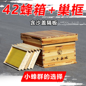 42中蜂箱全套标准诱蜂箱小型七框标准养蜂箱十框养双王煮蜡峰桶
