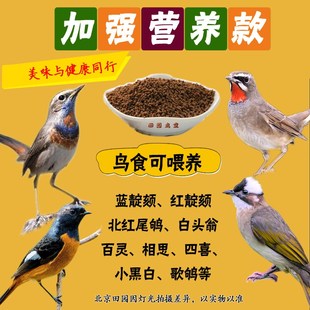 嗜虫鸟加强营养款鸟食红蓝靛颏北红尾鸲小黑白百灵白头翁鸟粮包邮