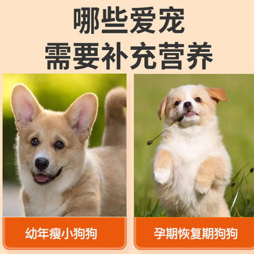 黑泰迪专用营养膏狗狗补充剂宠物成犬幼犬老年犬补充营养维生素