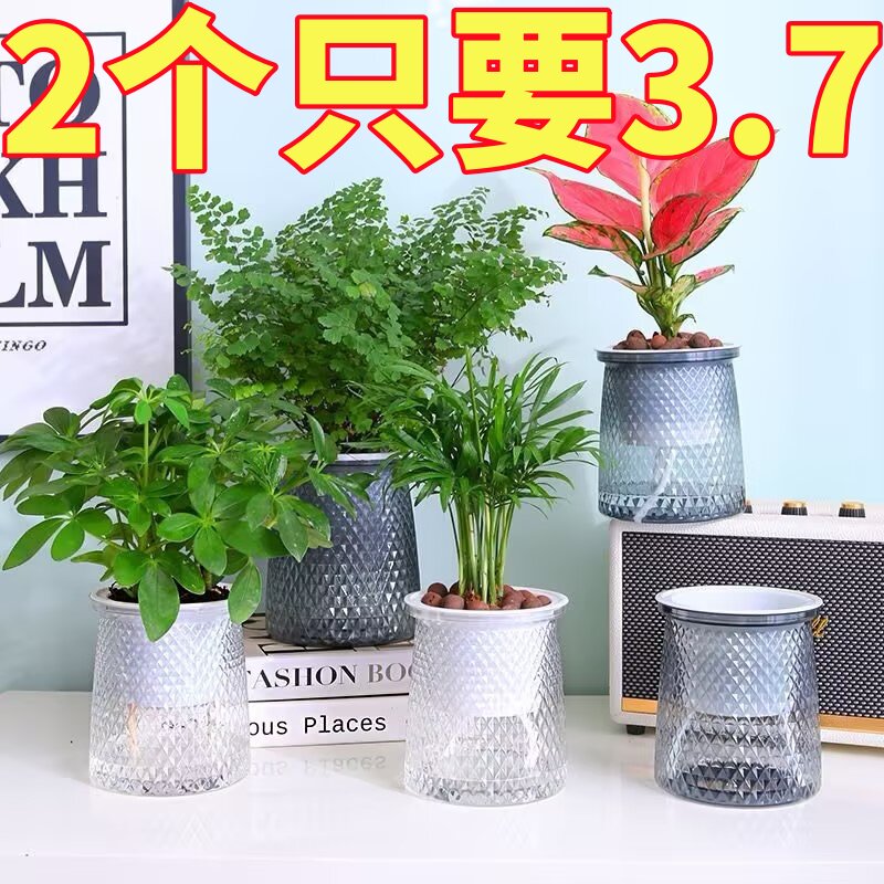 家用绿萝水培透明盆加厚耐用