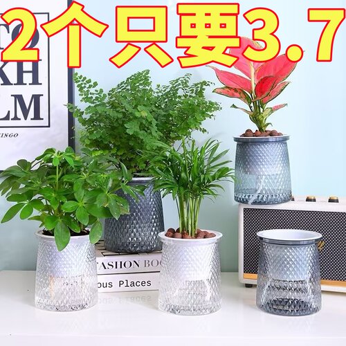 家用绿萝水培透明盆加厚耐用