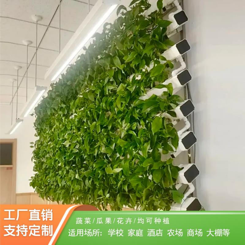 NFT无土栽培植物墙蔬菜草莓种植水培设备阳台管道种菜机学校教学