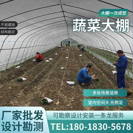 蔬菜大棚葡萄避雨棚大棚骨架室养殖种植连栋椭圆钢管配件温室大棚