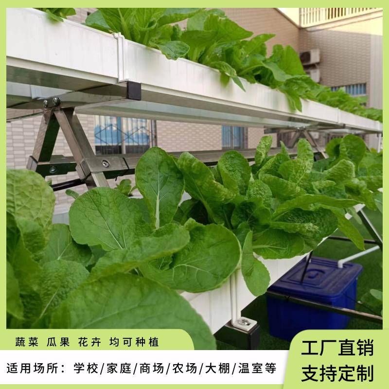 NFT无土栽培蔬菜草莓种植A字架水培设备阳台管道种菜机学校教科普