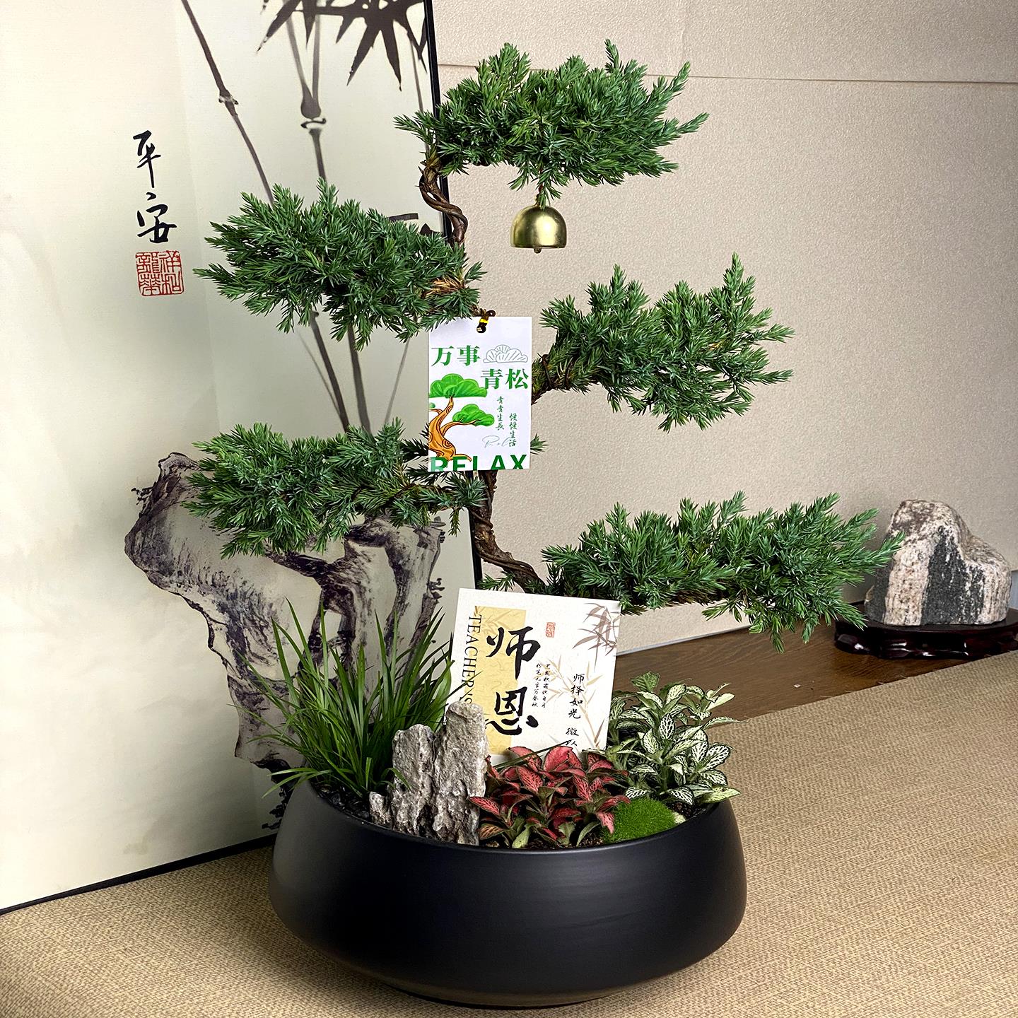 五层塔松盆栽送导师青松绿植乔迁新居开 业礼物松树盆景室内植物