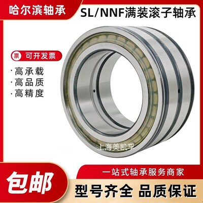 满装圆柱滚子轴承SL04 5004 5005 5006 5007 5008 5009 5010 5011