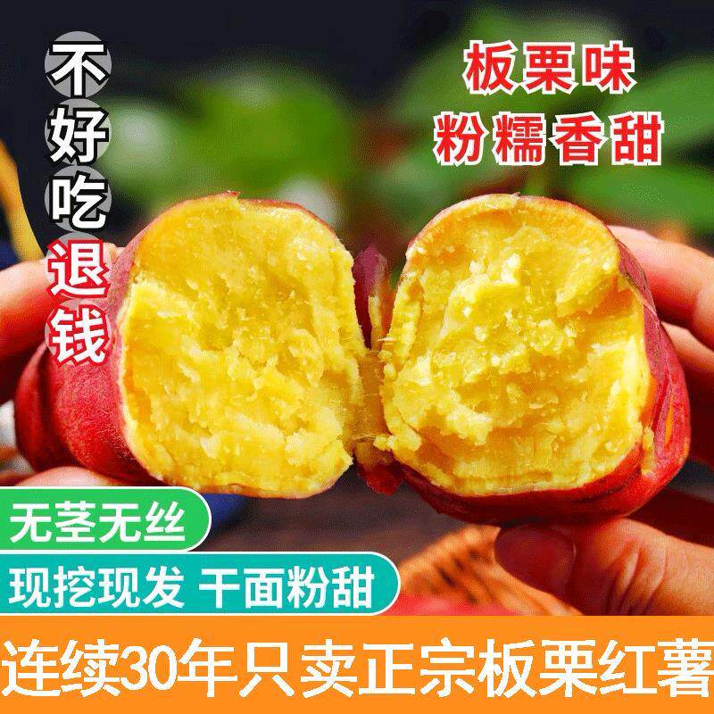 【香甜】陕西正宗板栗红薯沙地当季新鲜蜜薯地瓜自家果园整箱包邮