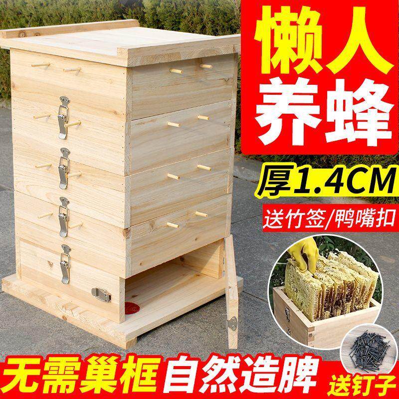 中蜂格子箱5层烘干蜜蜂专