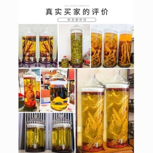 大容量加厚玻璃泡酒瓶泡酒专用酒瓶食品级密封圈高档带龙头存酒罐