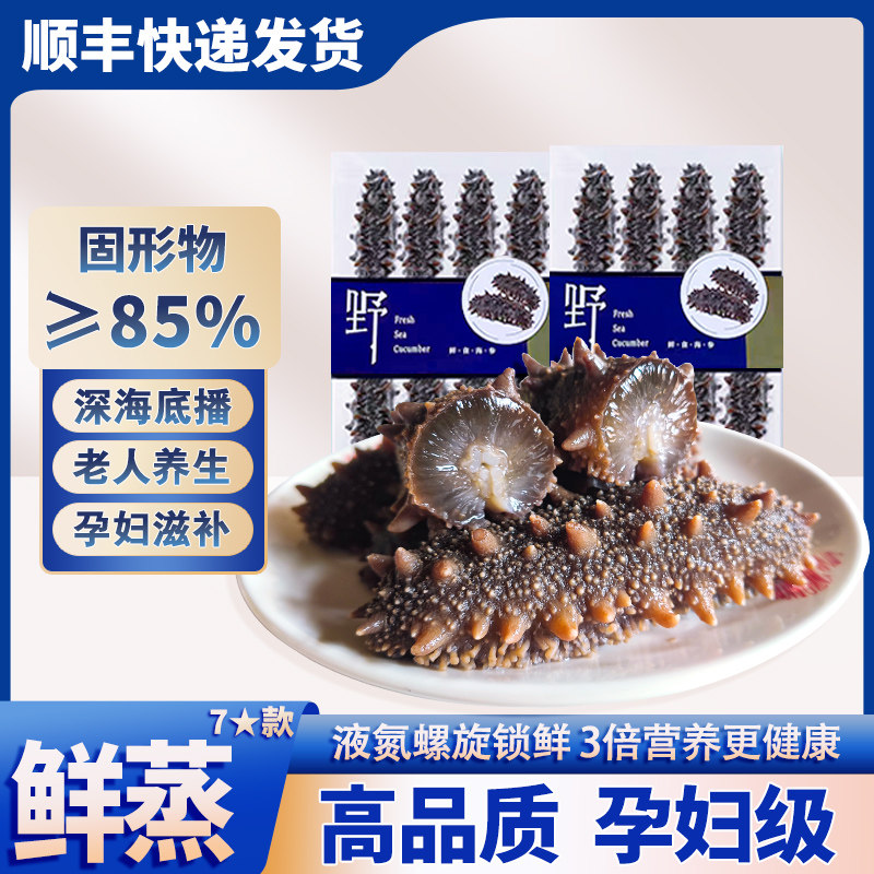 【解冻后不缩水】即食海参鲜食大连辽参500g正宗辽参官方正品滋补