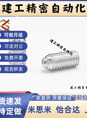 品质 重载 BPM3/4/5/6/8/10/12/16/20 波珠螺丝球头柱塞 ZAC02