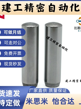 定位销 BLF01/35/03/11-D4-D5-D6-L8 L10 L15 L20 L25 L30 L35L40