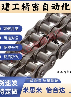 CHE15/CHES25/35/40/50/60/100/80-U替 CHEEC链条CHEED120/CHEH11