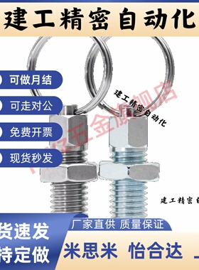 ZAC40 41 42 43 44 45-M6 M8 M10 M12分度销 拉环型GN717粗牙