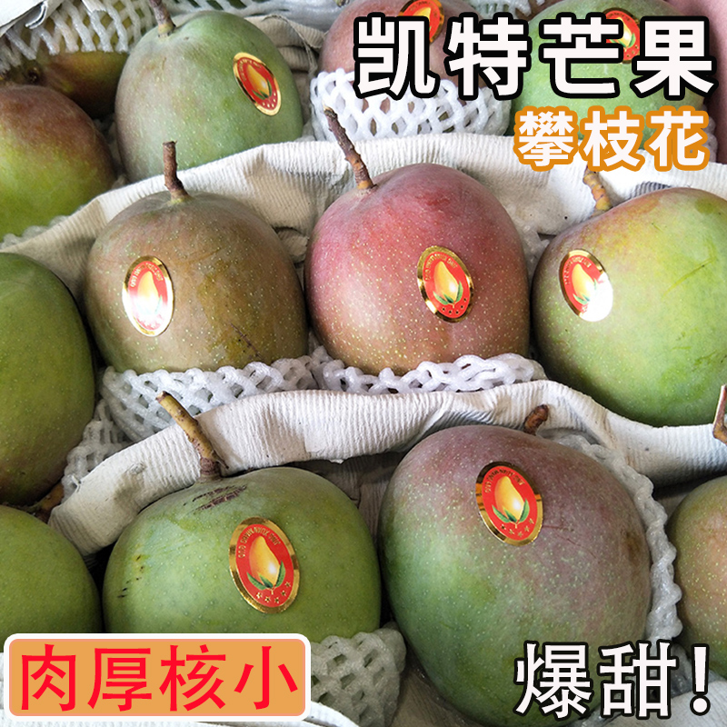 四川攀枝花凯特芒果新鲜10应季斤水果芒果整箱包邮特大青忙果当季
