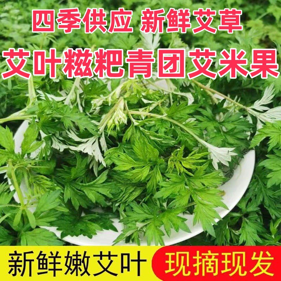 新鲜食用艾草叶做青团糍粑粑清明果艾叶嫩艾蒿艾米果现摘艾叶批发