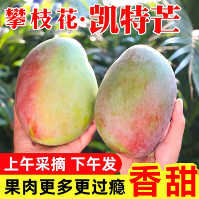 四川攀枝花凯特大芒果水果新鲜整箱10斤当季包邮应季甜青皮芒果5